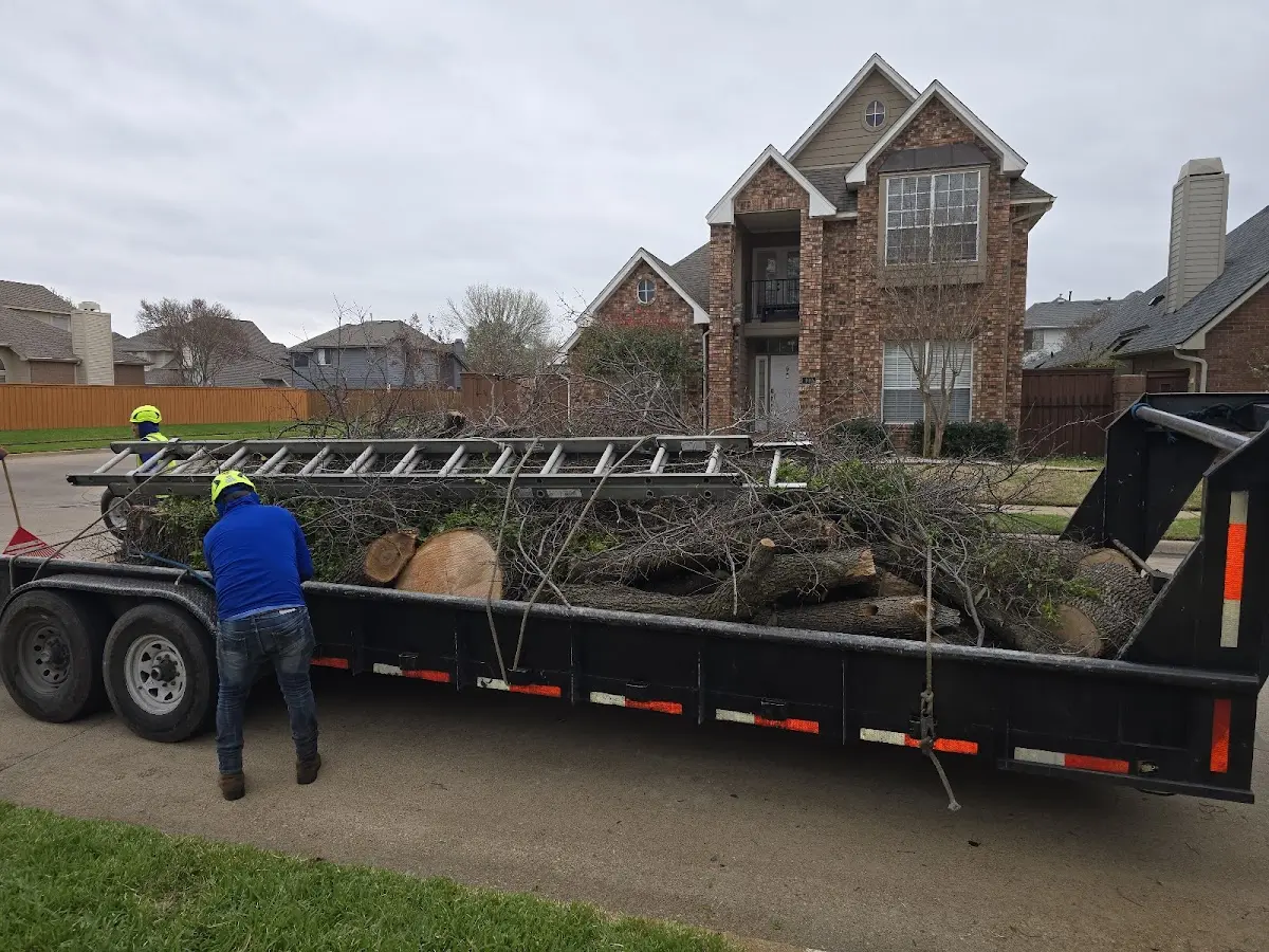 Expert Lot Clearing with proper safety equipment in Devon